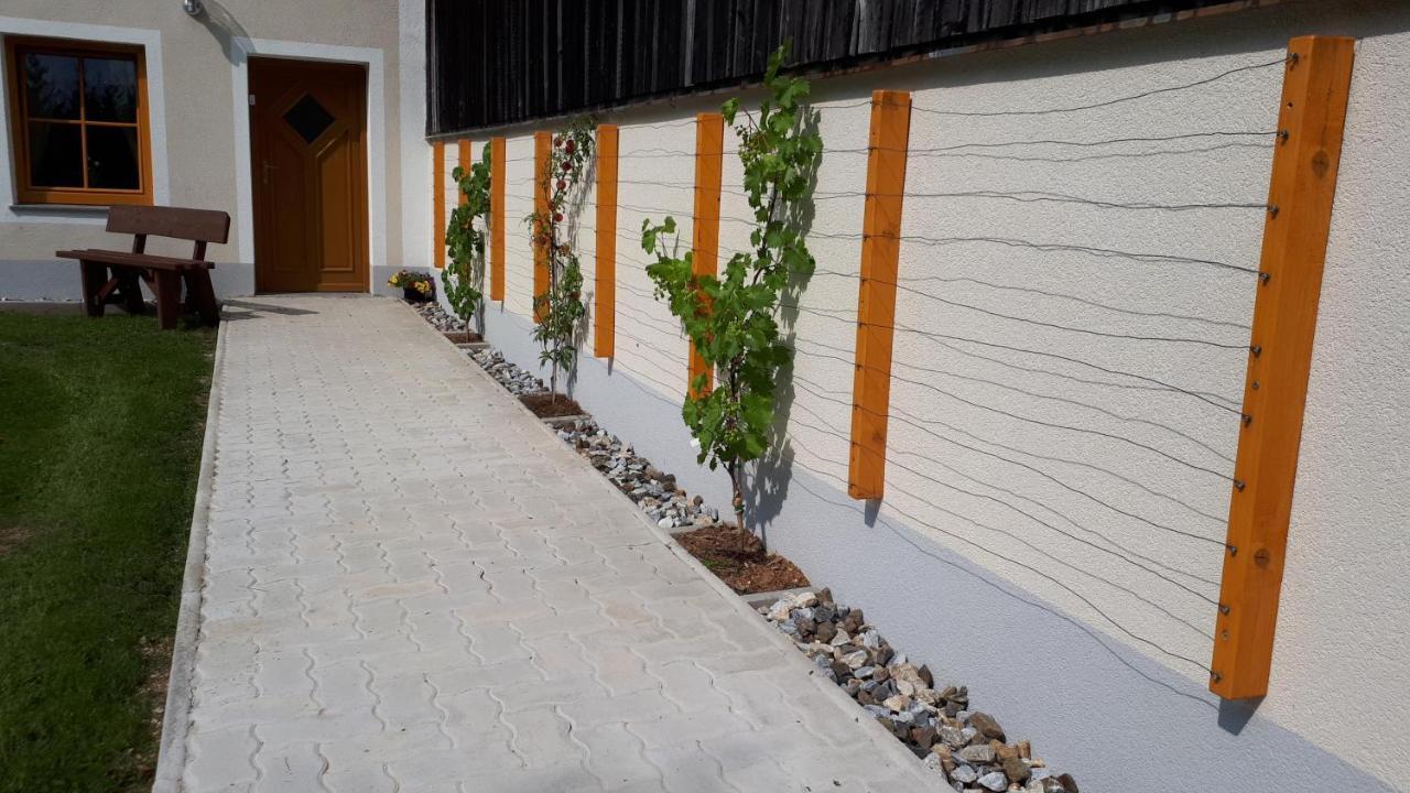Ferienhaus Buxbaum Arbesbach Esterno foto